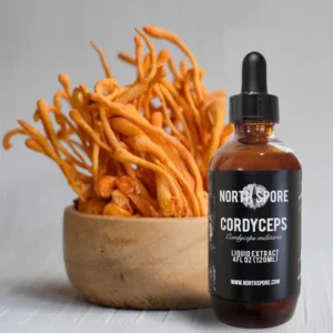 cordyceps spore