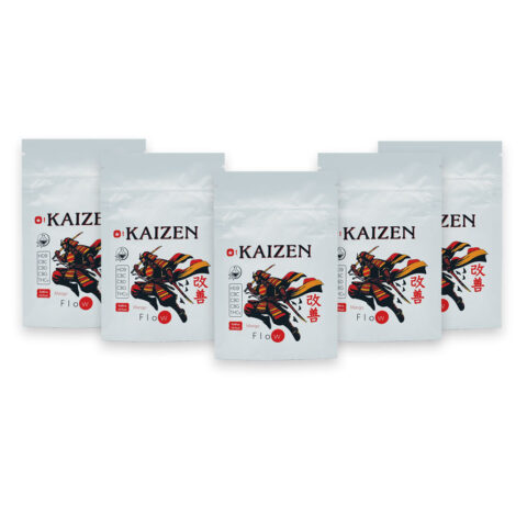 Kaizen Flow Gummies Mango Sativa Case Box 5