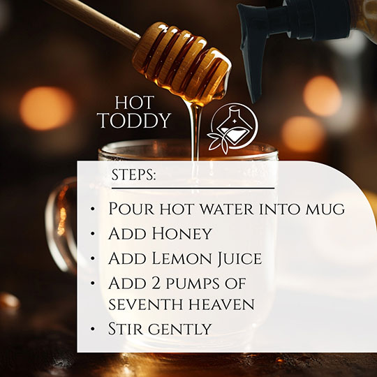 Hot Toddy Recipe Mocktail