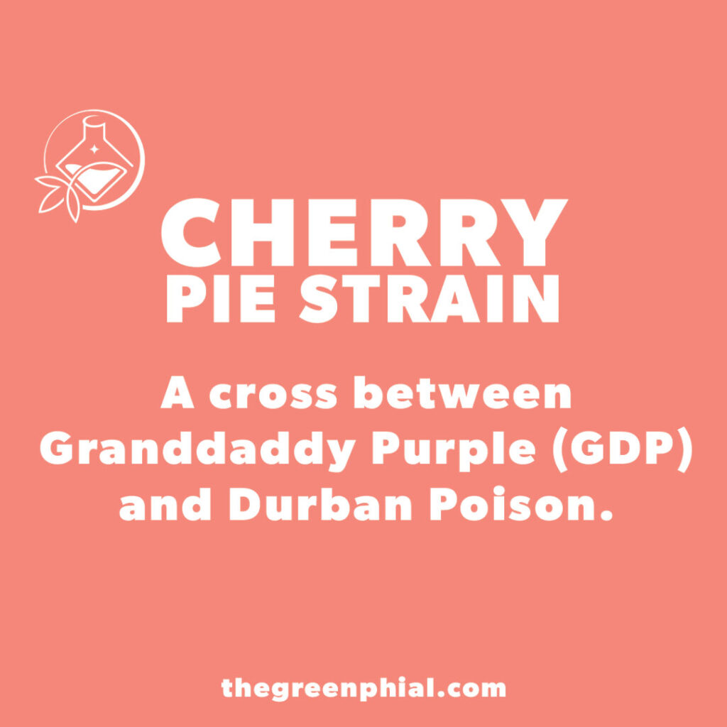 Cherry Pie Strain