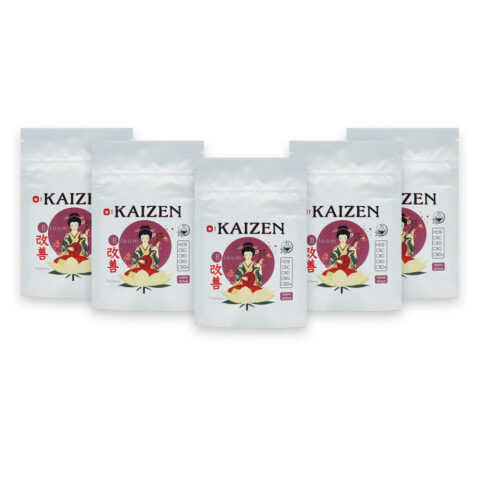 Kaizen Bloom Gummies Raspberry Hybrid Case Box 5